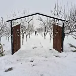 алпийска в полите рила