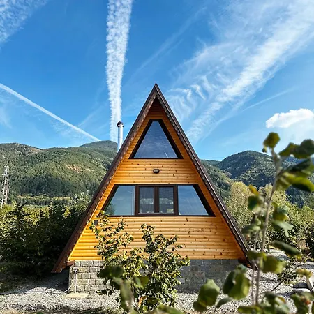 алпийска в полите рила