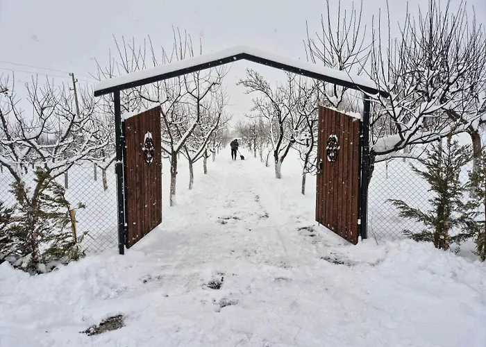 алпийска в полите рила