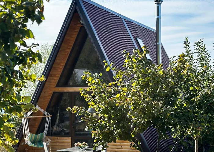 алпийска в полите рила *